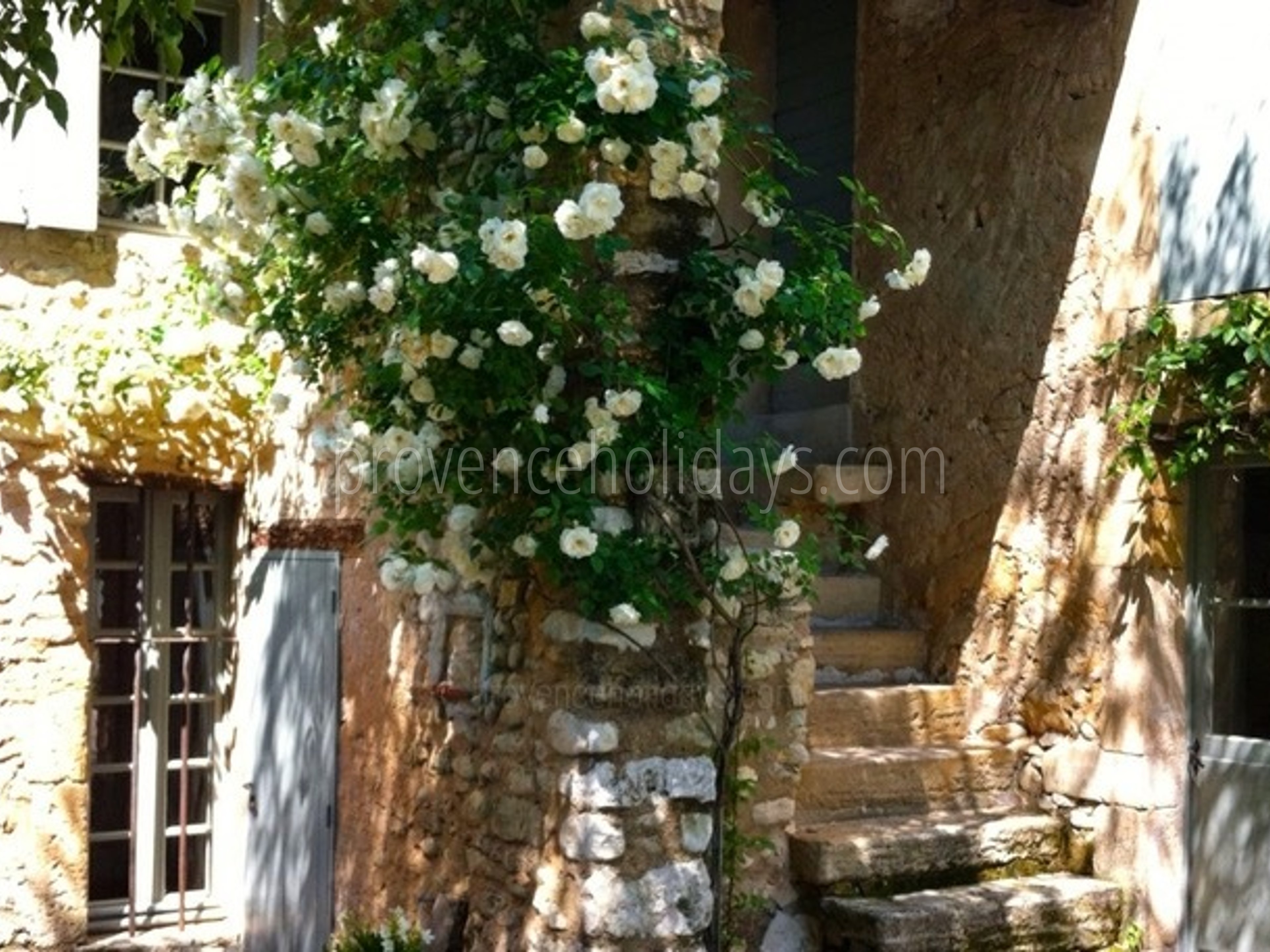 76 - Mas des Lavandes: Villa: Exterior