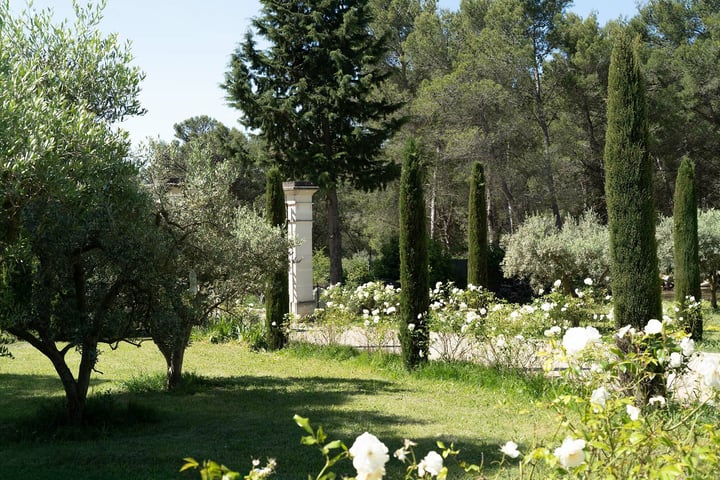 Feriebolig i Les Baux-de-Provence, Alpillene