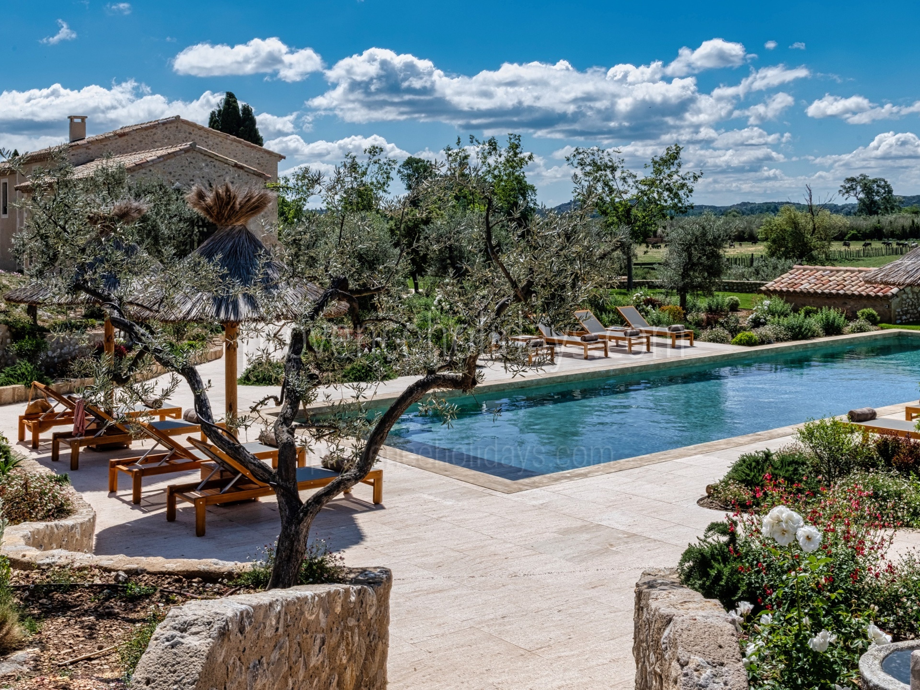 18 - Mas de Pierre: Villa: Pool