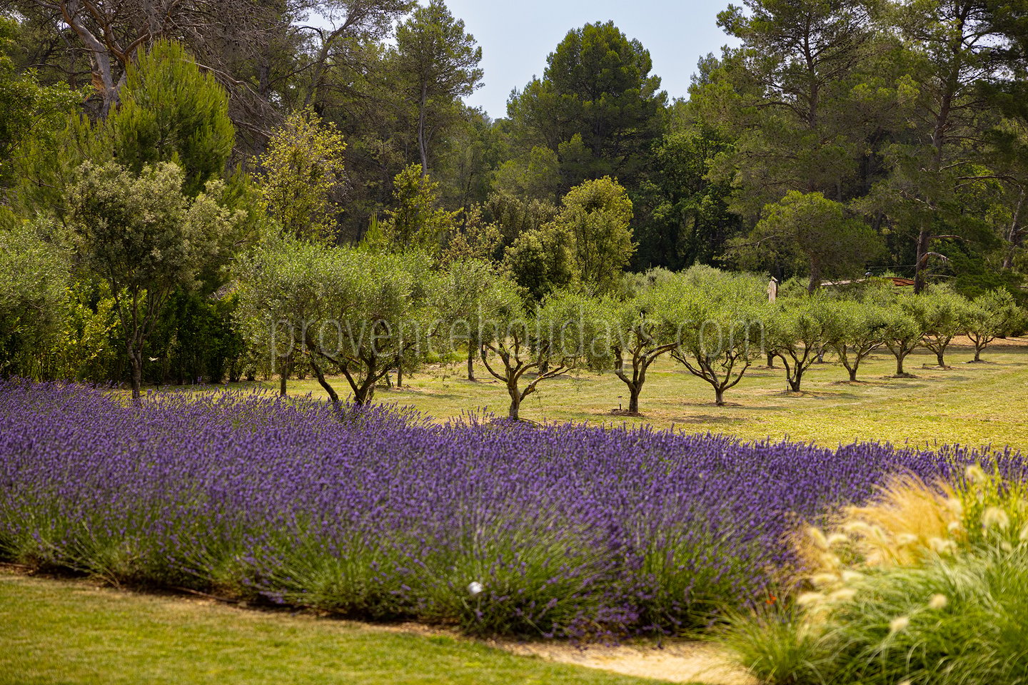 35 - Le Mas Secret: Villa: Exterior