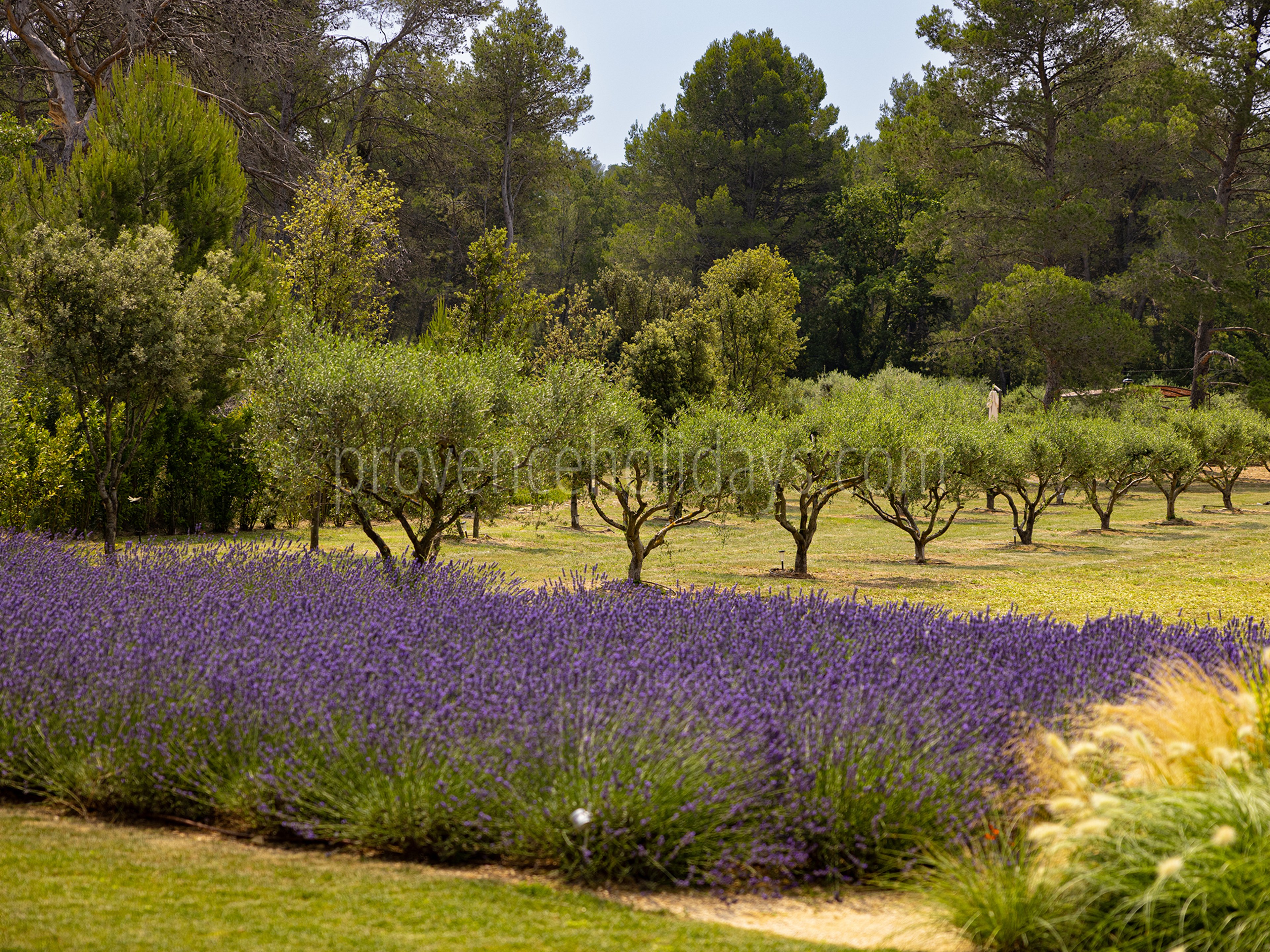 35 - Le Mas Secret: Villa: Exterior
