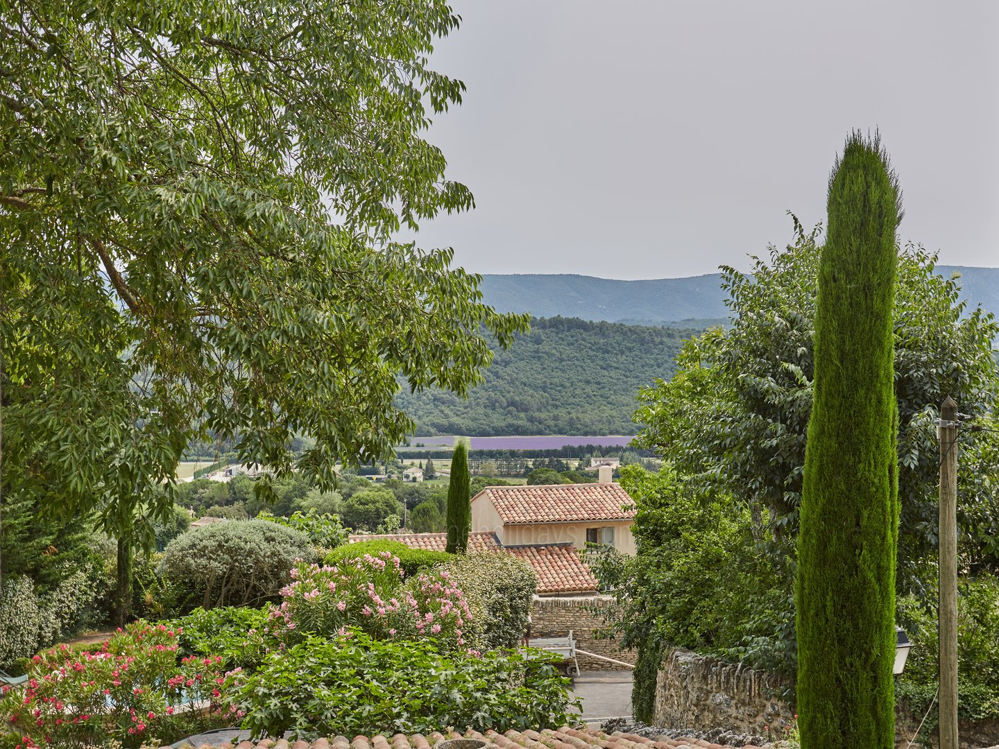 2 - La Maison de Goult: Villa: Exterior