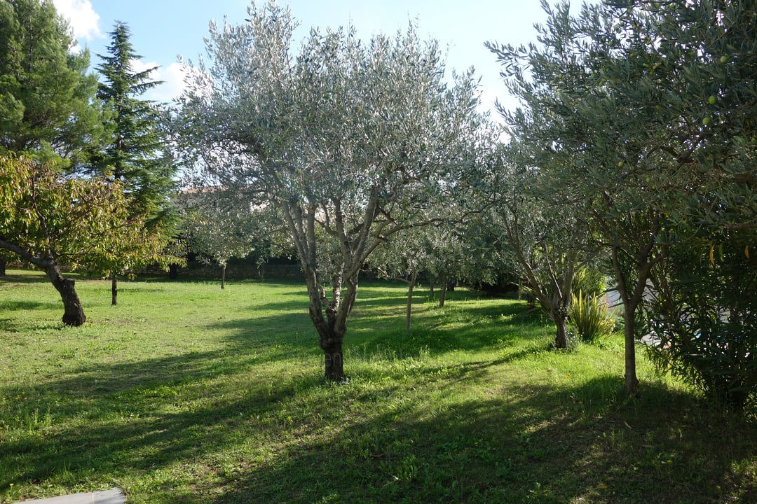 8 - Villa de la Roque: Villa: Exterior