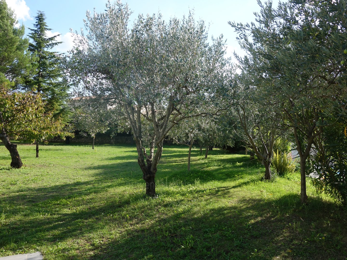 8 - Villa de la Roque: Villa: Exterior