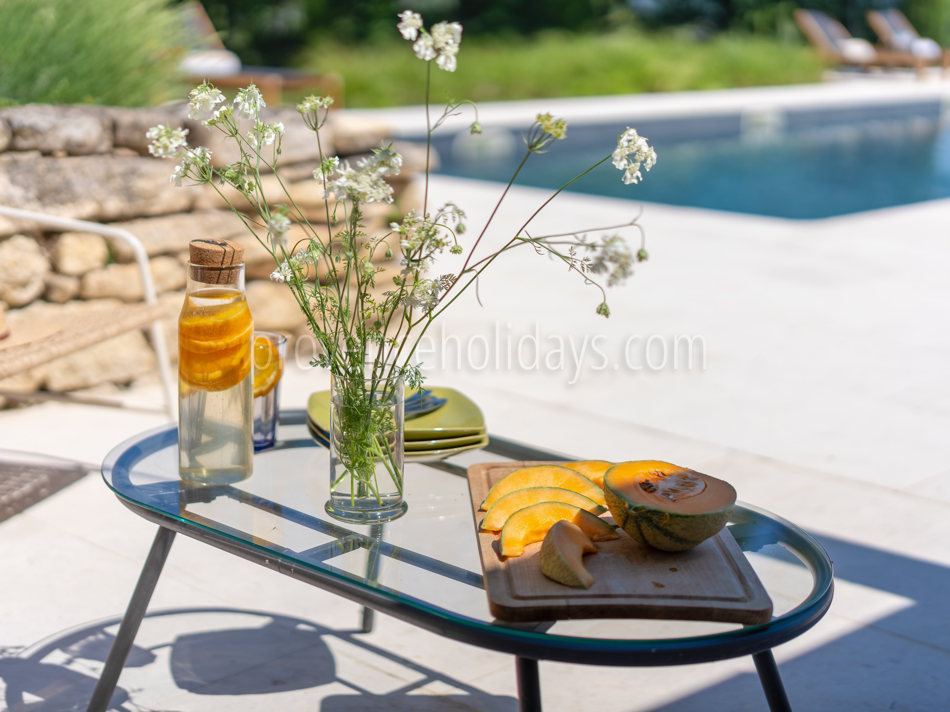 37 - Mas des Firmins: Villa: Exterior