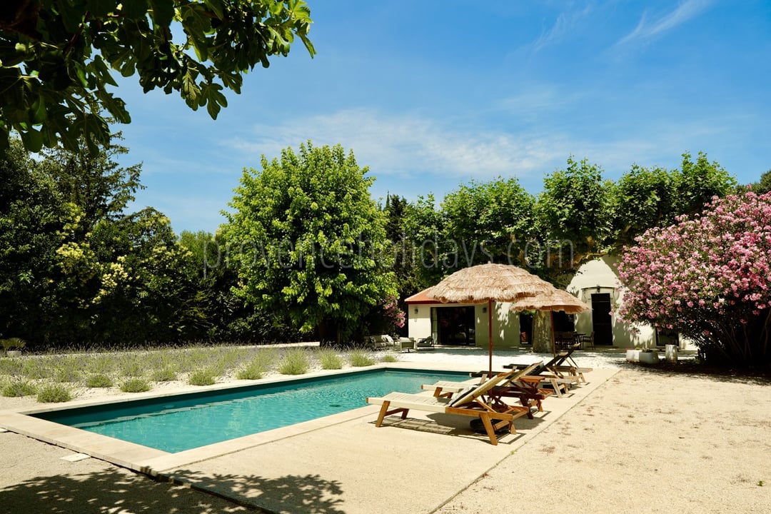 8 - Villa Romana: Villa: Exterior