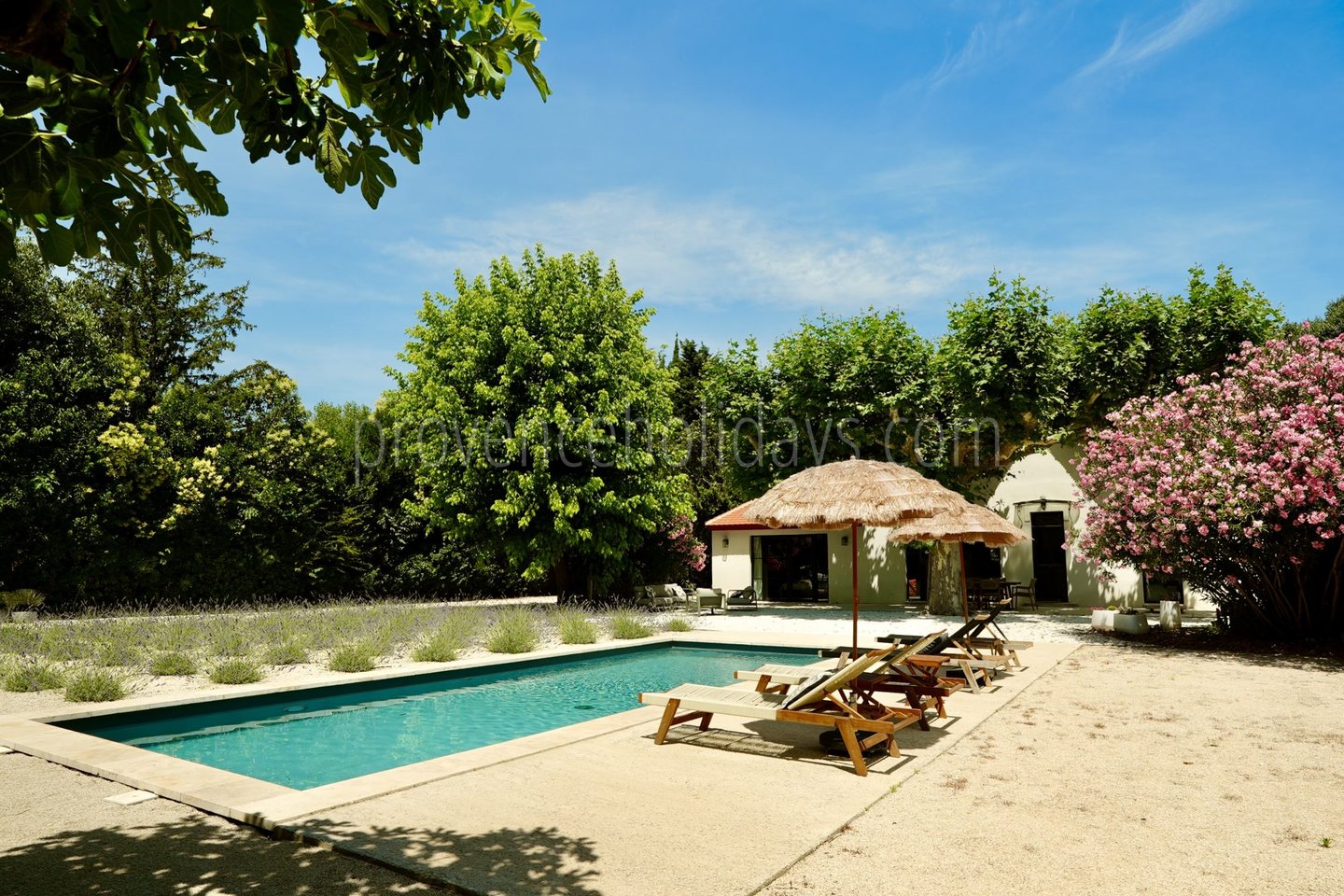 8 - Villa Romana: Villa: Exterior