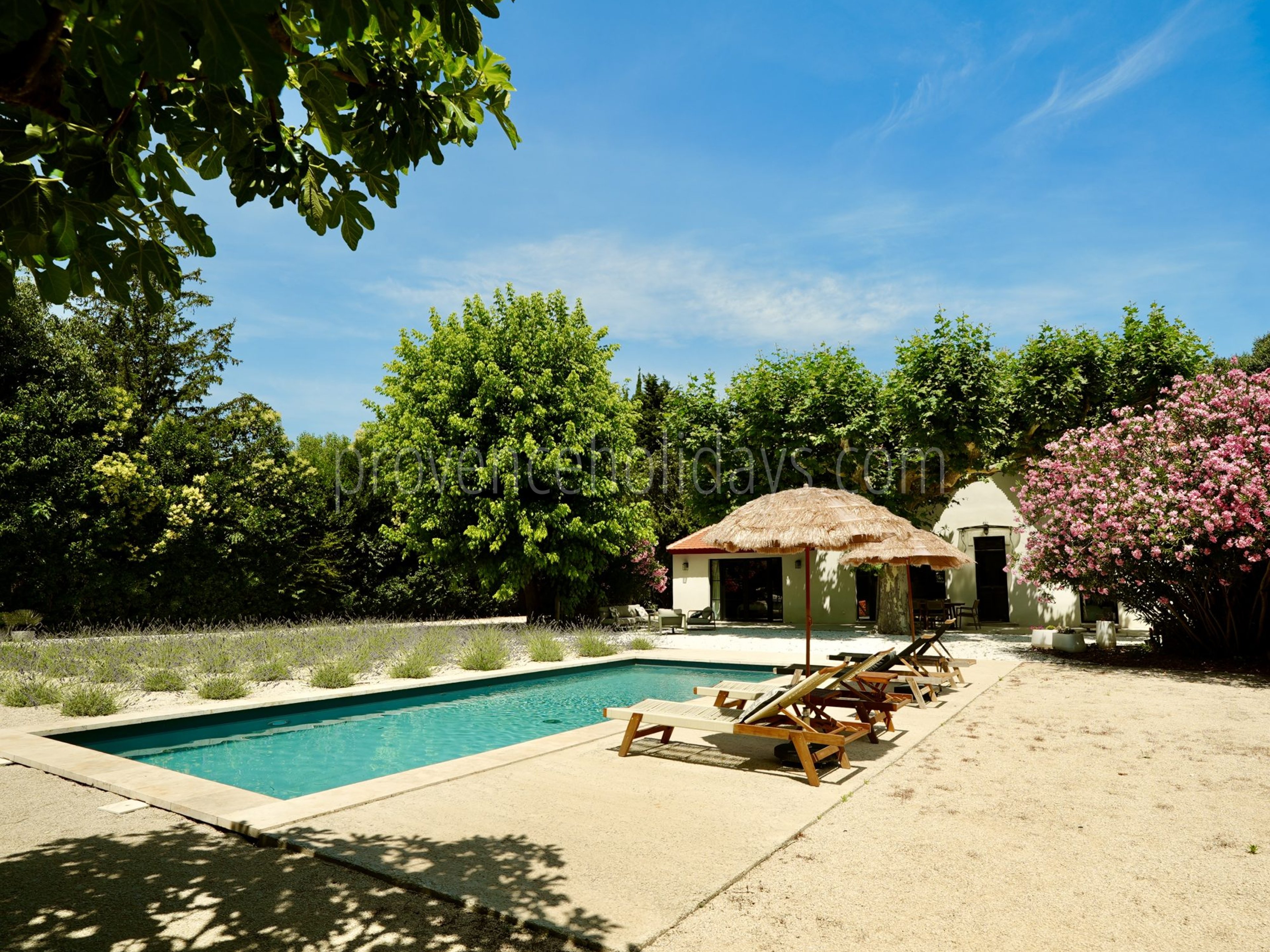 8 - Villa Romana: Villa: Exterior