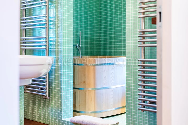 17 - Stenen woning in Ménerbes: Villa: Bathroom