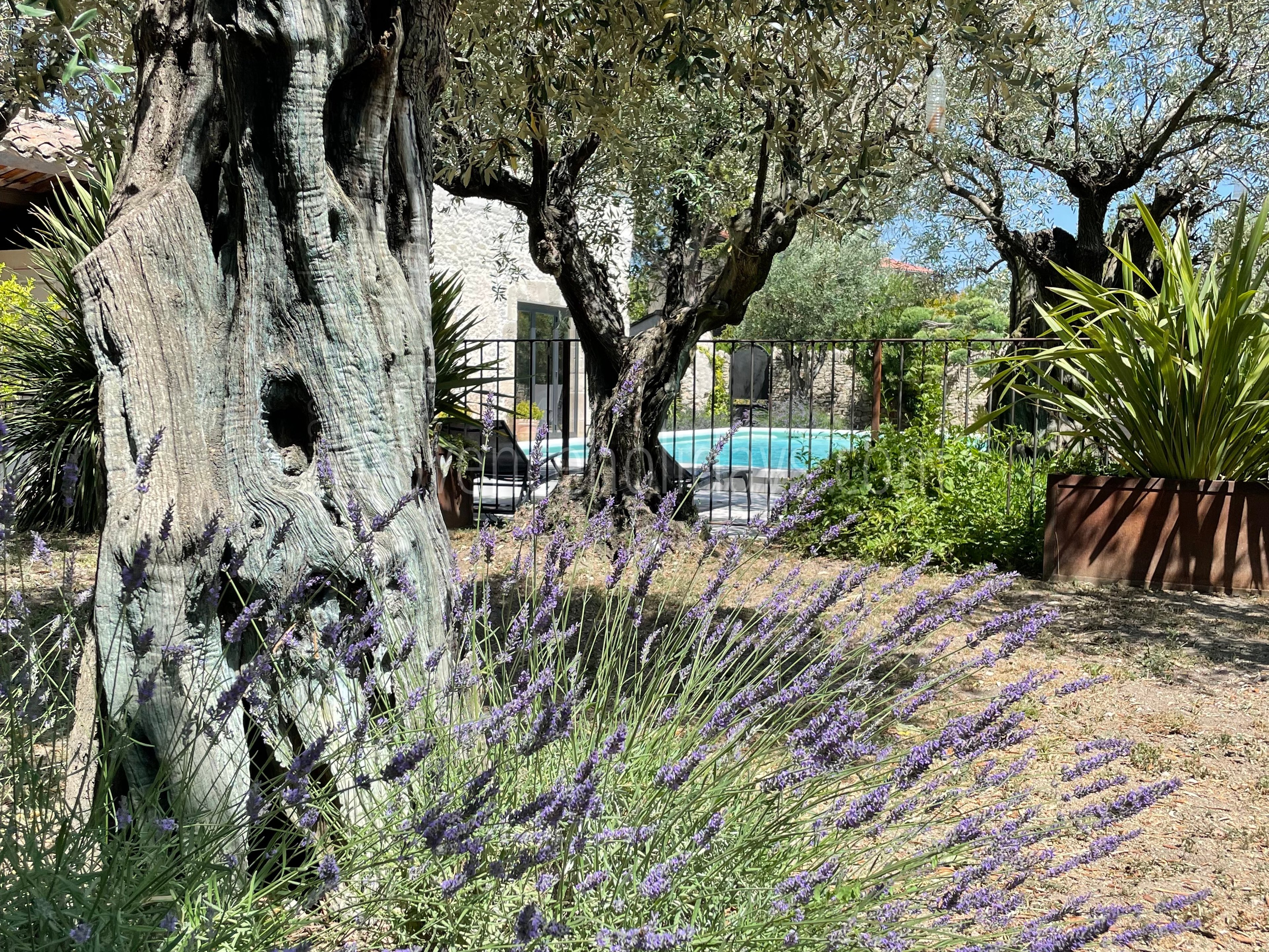 43 - La Bâtisse de L\'Isle: Villa: Exterior