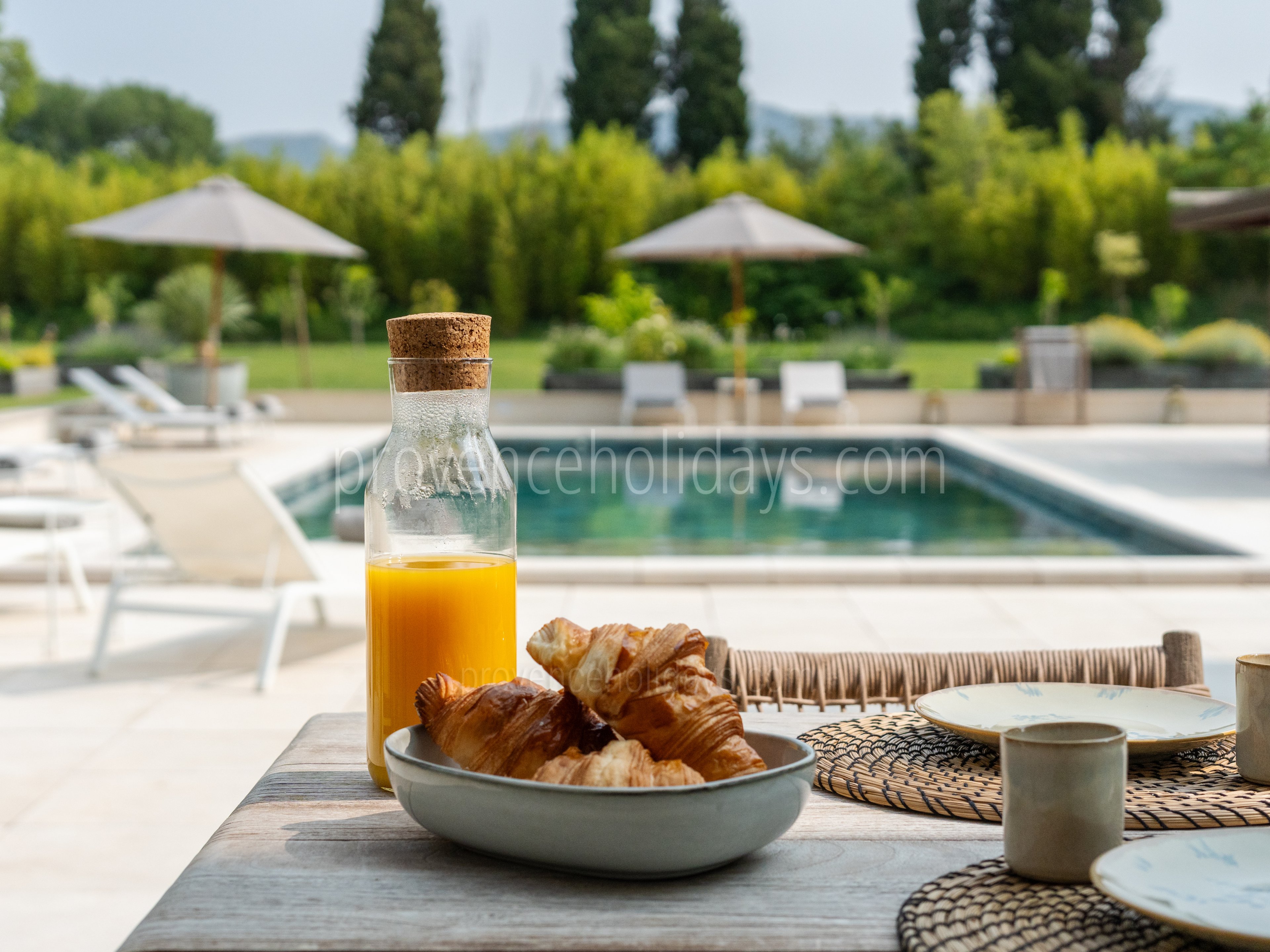 10 - Le Mas du Rollier: Villa: Pool