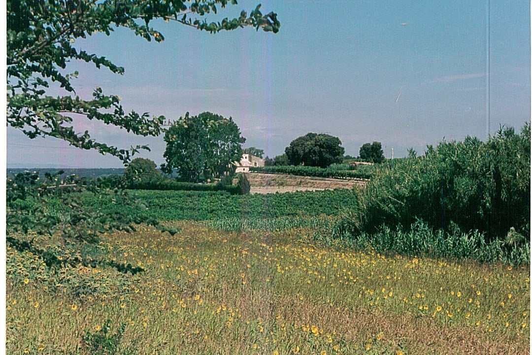 10 - Chez Martine: Villa: Exterior