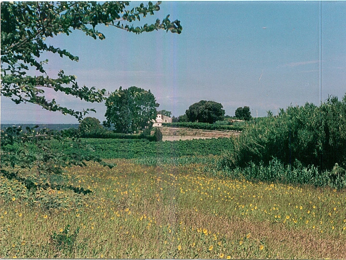 10 - Chez Martine: Villa: Exterior