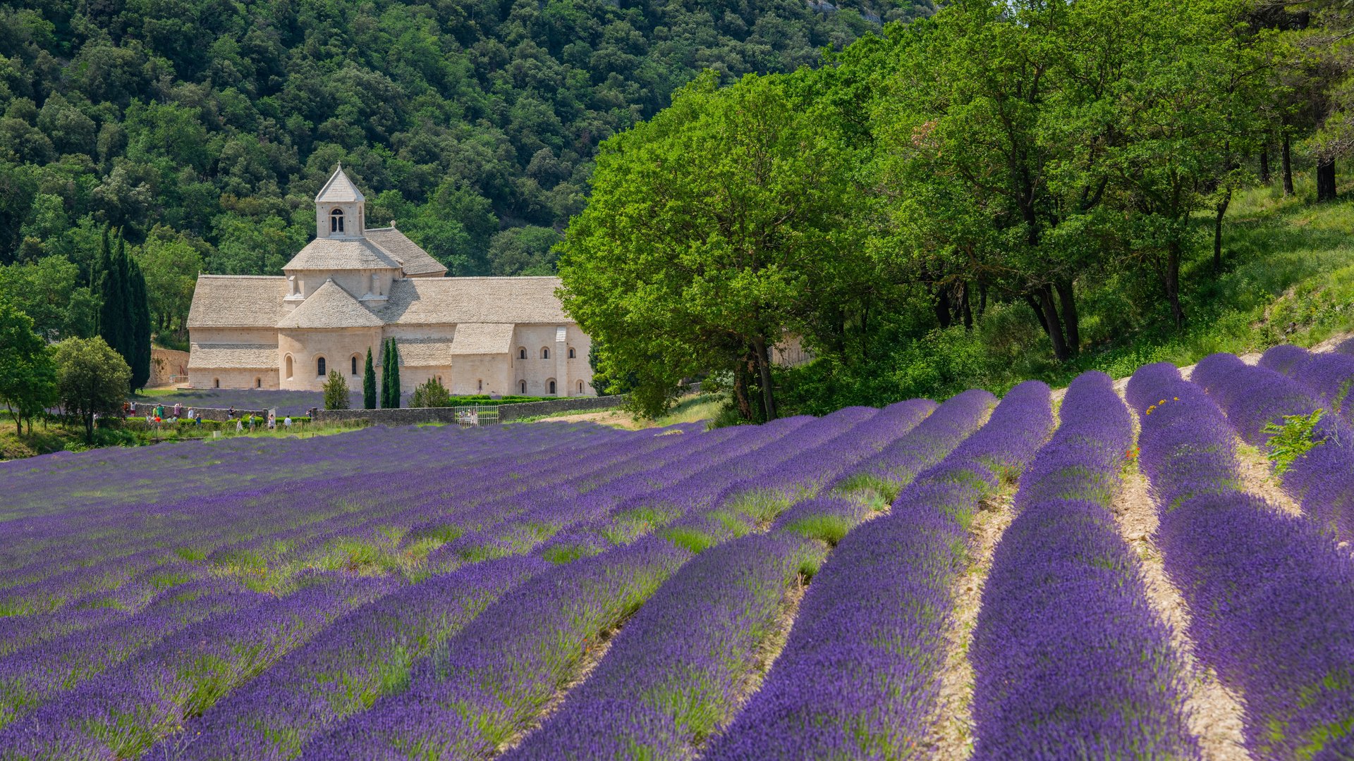 abbaye