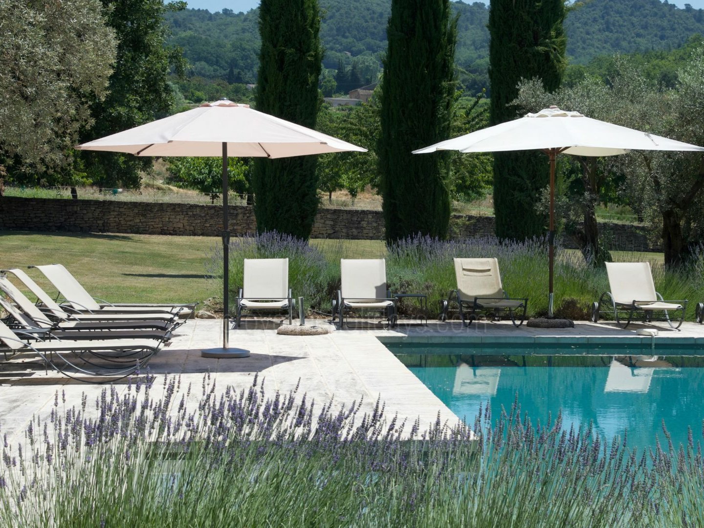 33 - Le Mas des Buis: Villa: Pool