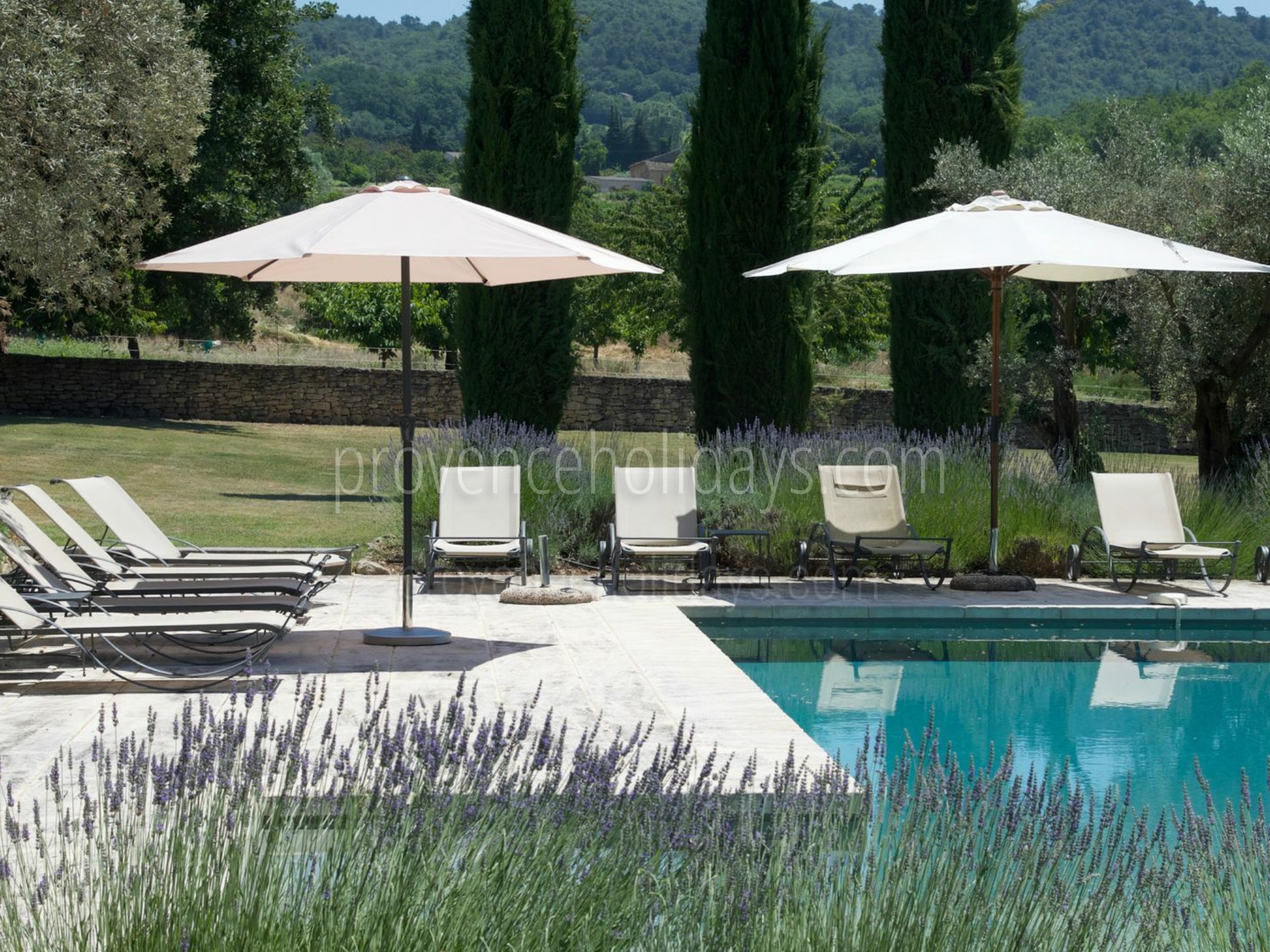35 - Le Mas des Buis: Villa: Pool