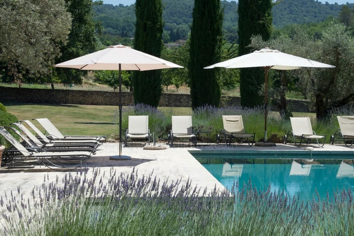 33 - Le Mas des Buis: Villa: Pool