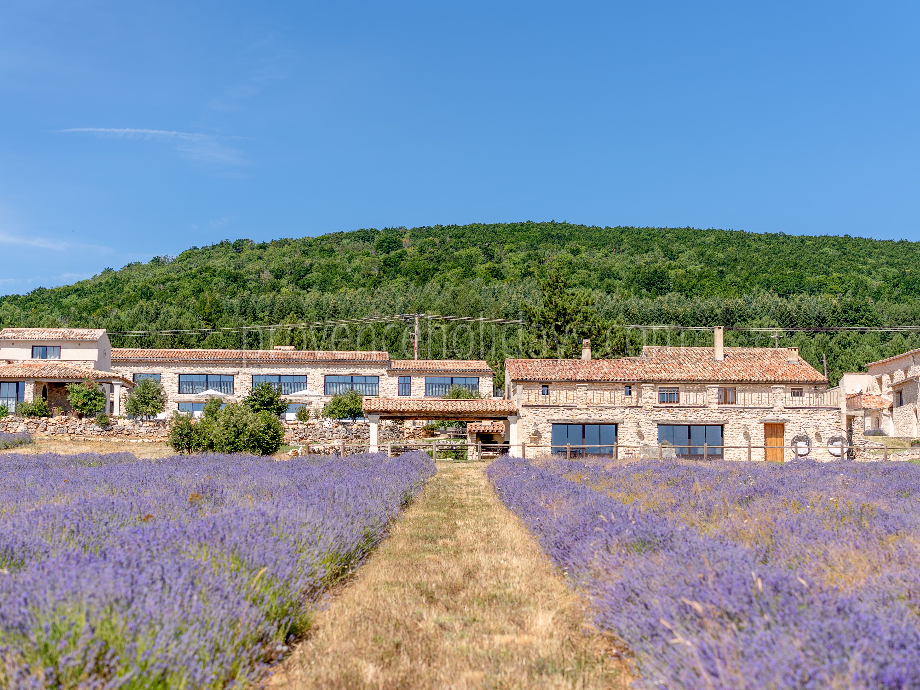 80 - Domaine Château du Bois: Villa: Exterior