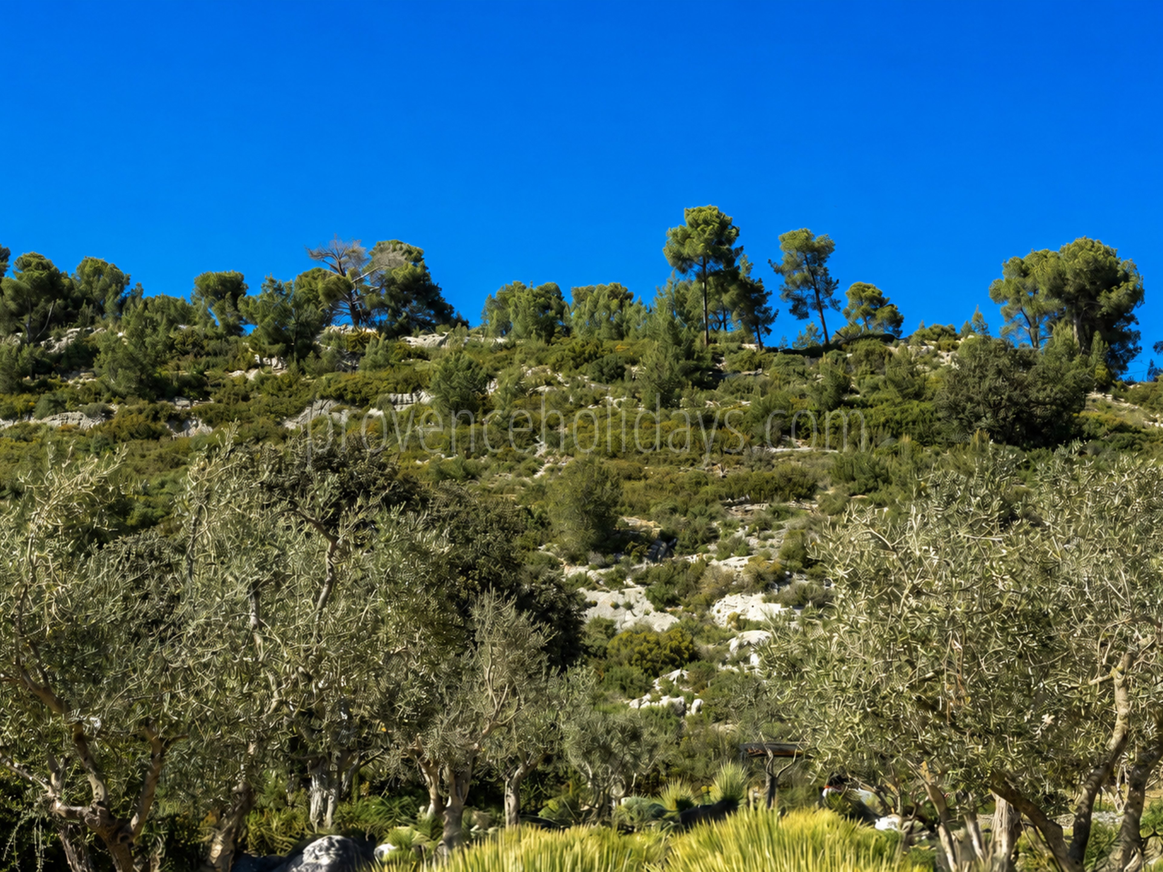 58 - Le Loup des Alpilles: Villa: Exterior