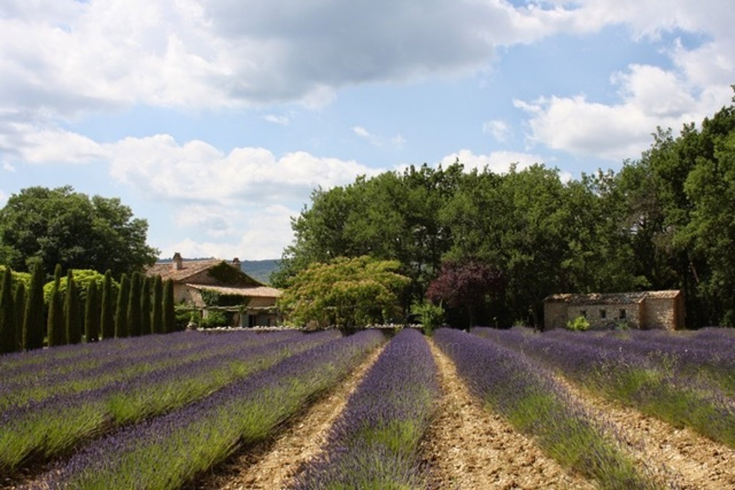 15 - Mas des Lavandes: Villa: Exterior