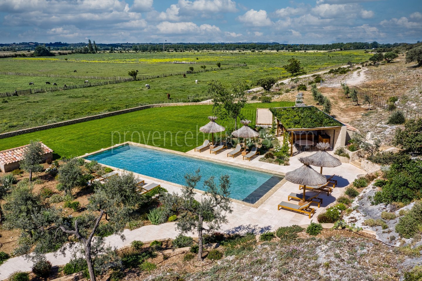 58 - Mas de Pierre: Villa: Pool
