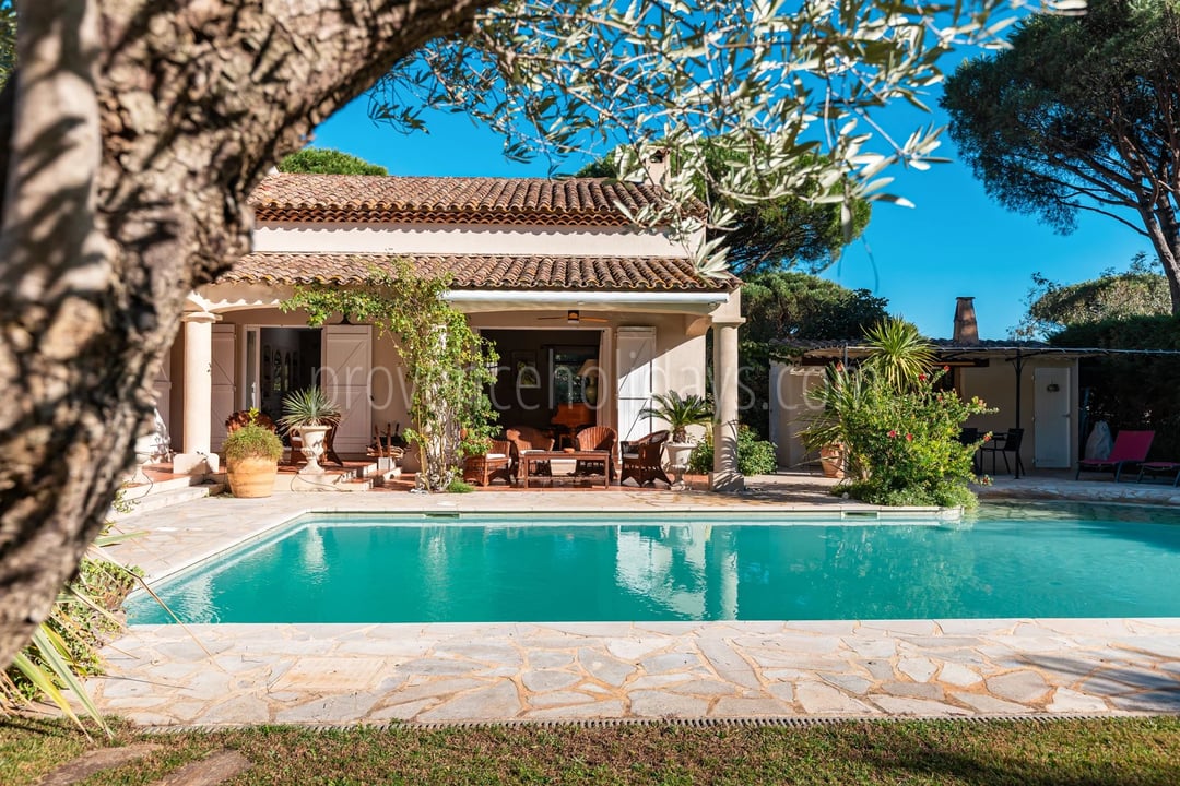 70 - Villa avec maison d’invités à Grimaud: Villa: Pool