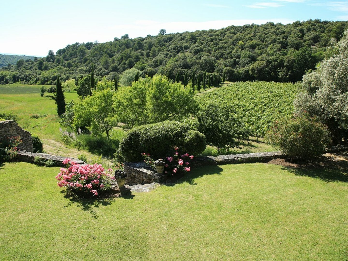 6 - Le Mas de Bonnieux: Villa: Exterior