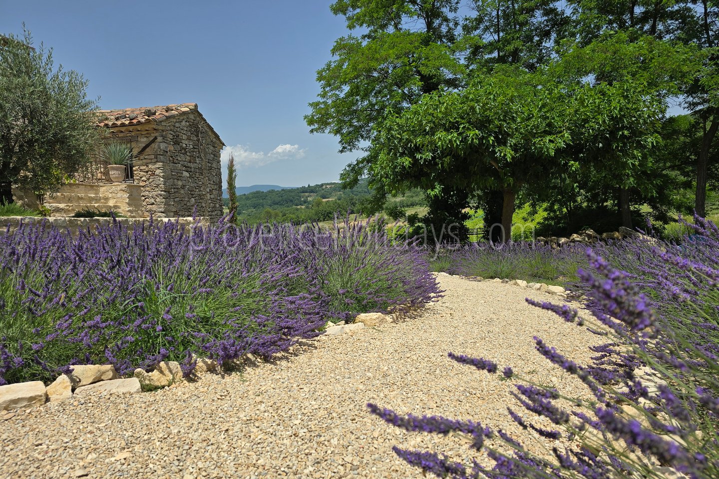 45 - Mas Cerisiers: Villa: Exterior