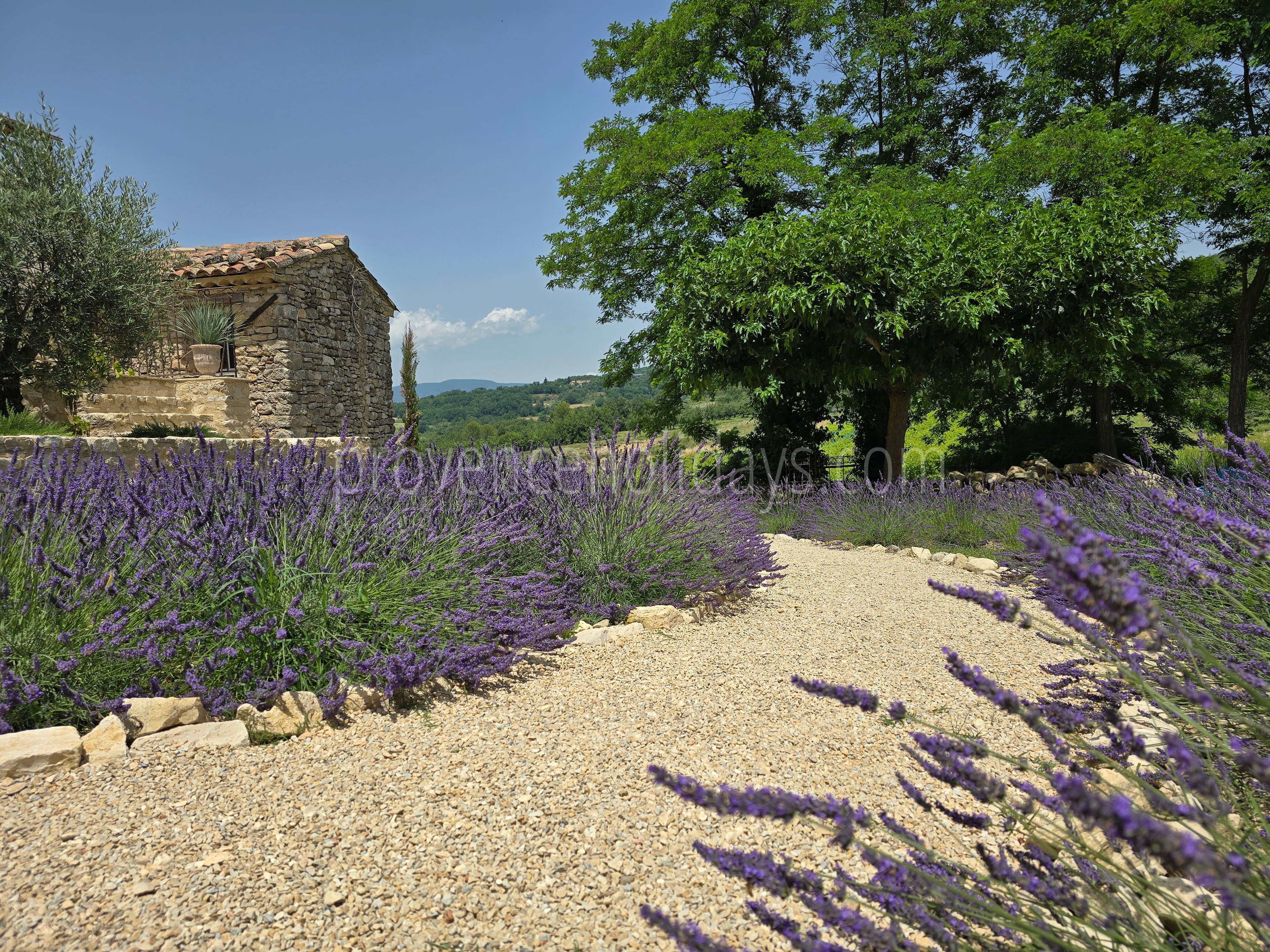44 - Mas Cerisiers: Villa: Exterior