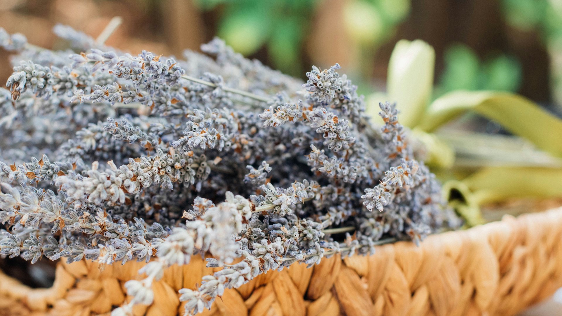 Lavender market