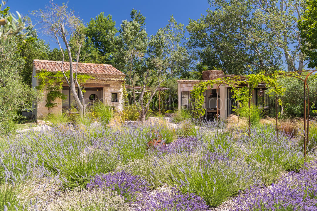 An authentic refuge in the heart of the Alpilles