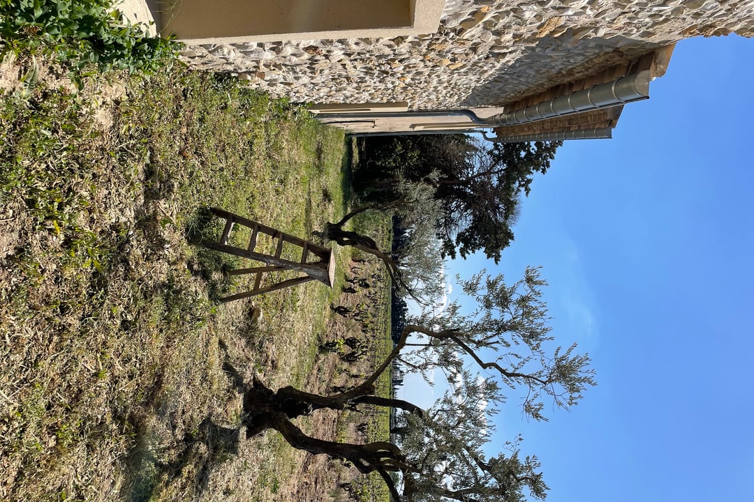 17 - Mas de Seguret: Villa: Exterior