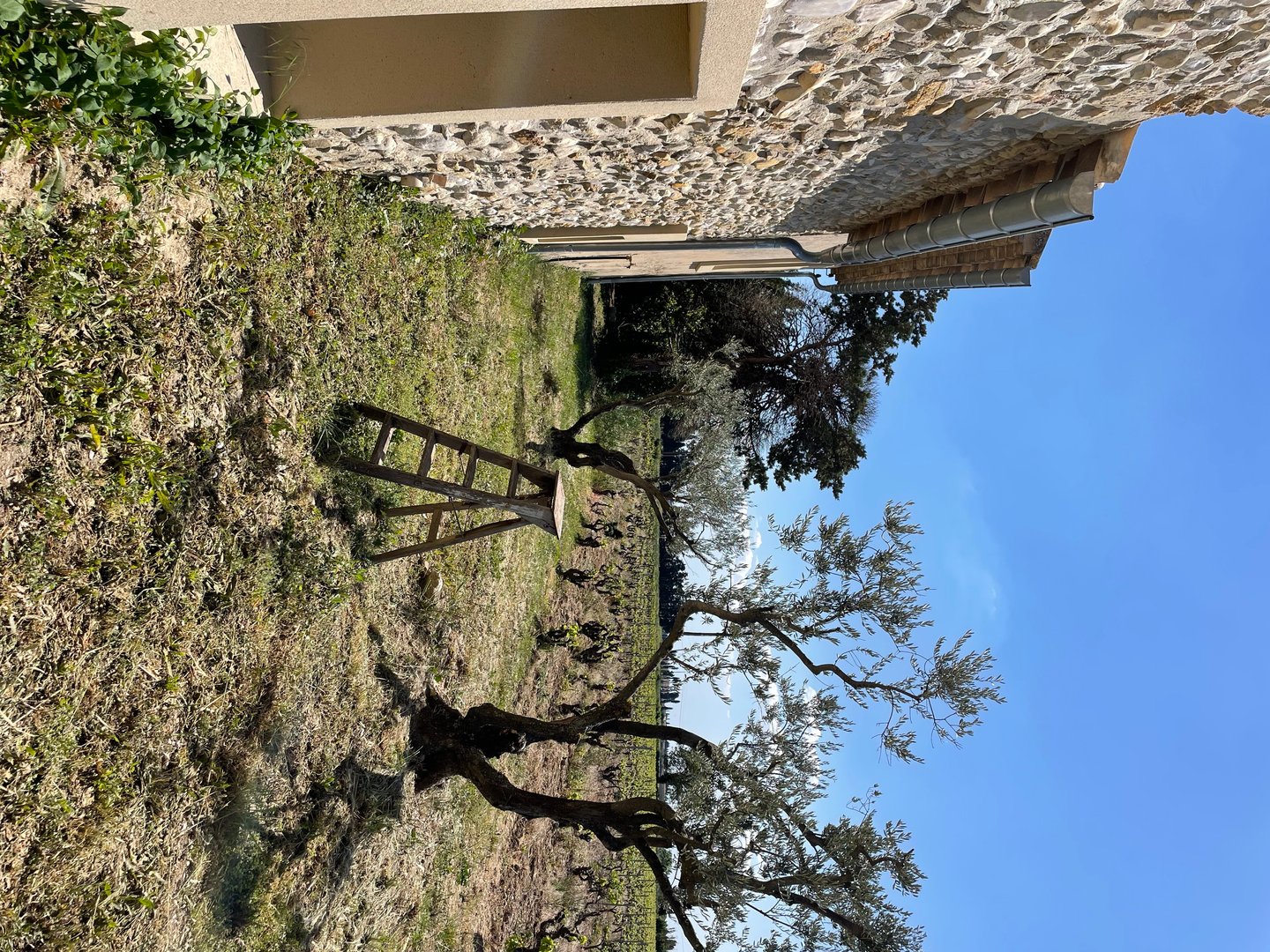 17 - Mas de Seguret: Villa: Exterior