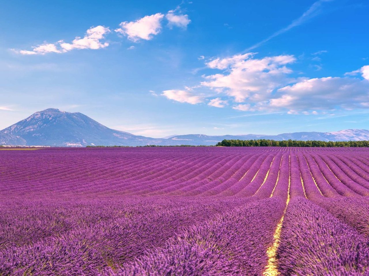 Valensole Plateau