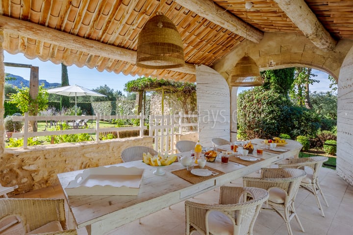 Provençal home on an organic olive oil estate