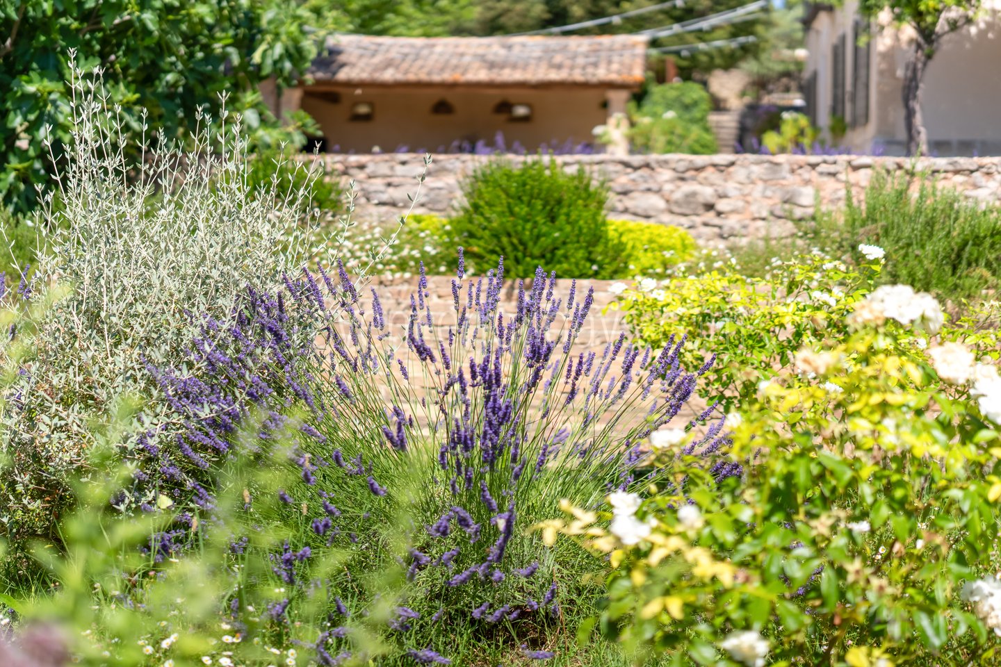 102 - La Bastide des Sources: Villa: Exterior