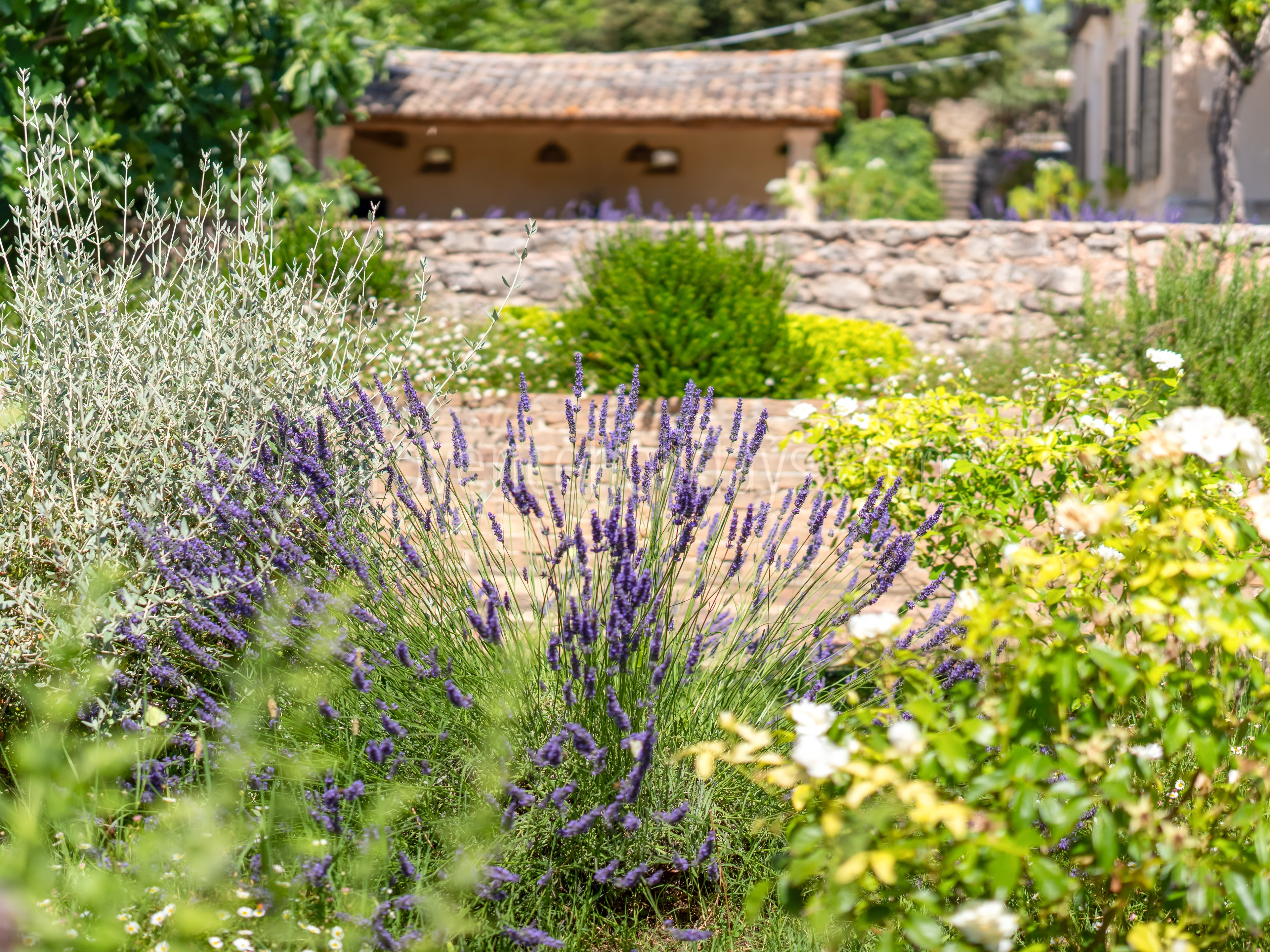 102 - La Bastide des Sources: Villa: Exterior