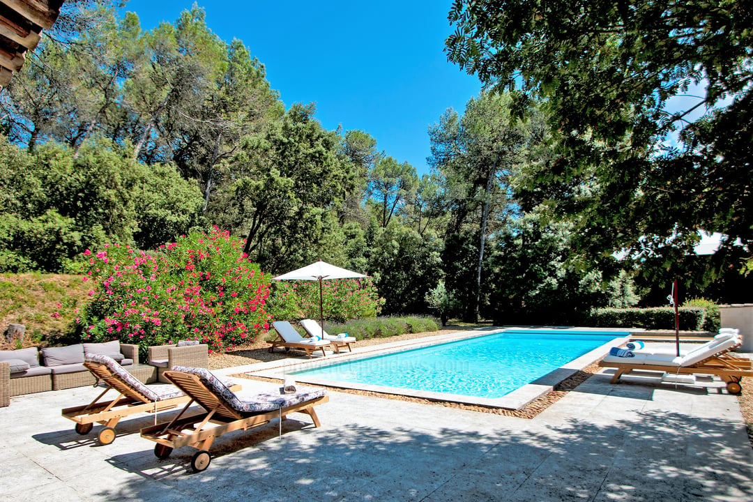 8 - Le Mas des Roses: Villa: Pool