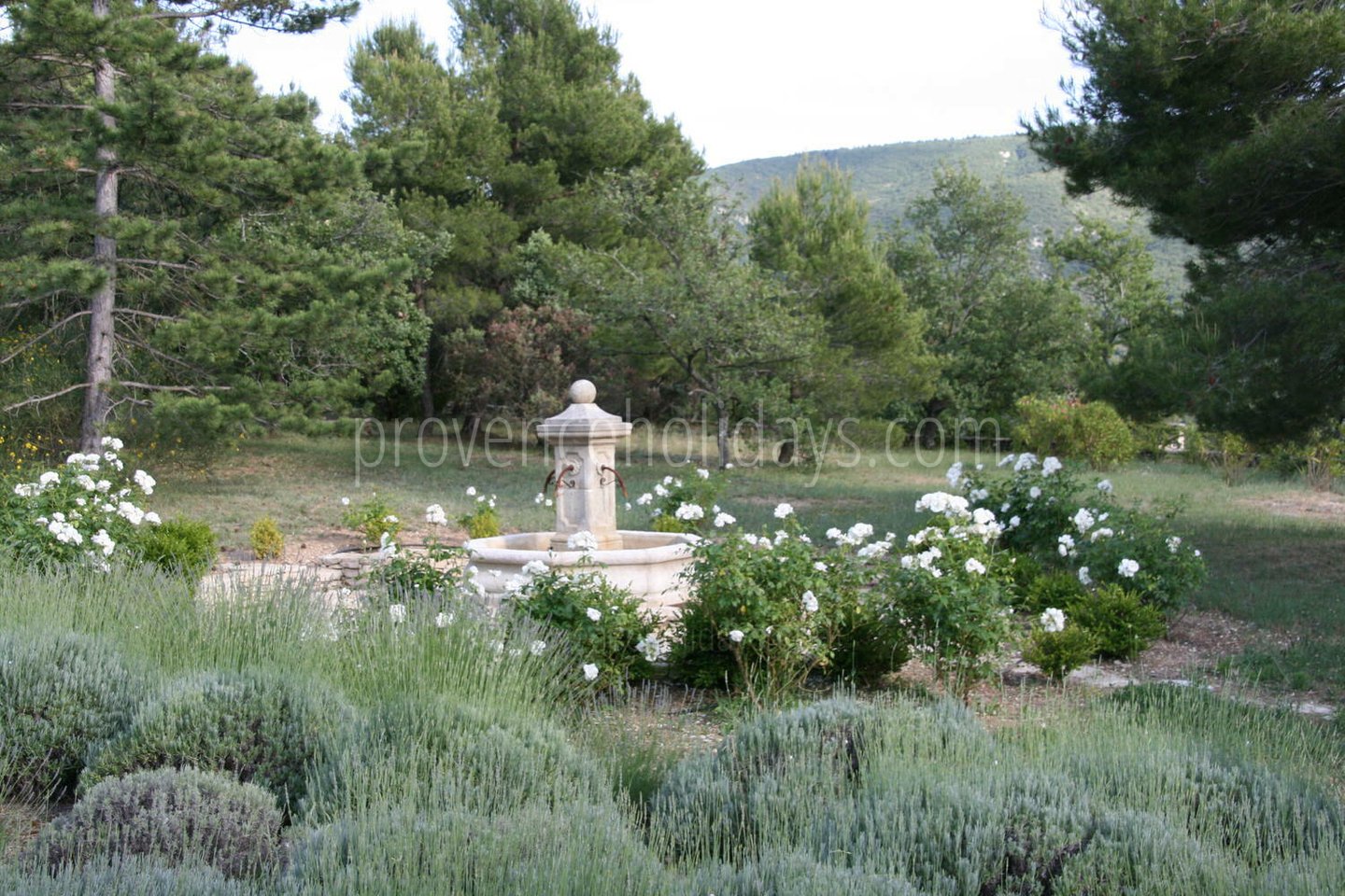 2 - Villa Lacoste: Villa: Exterior