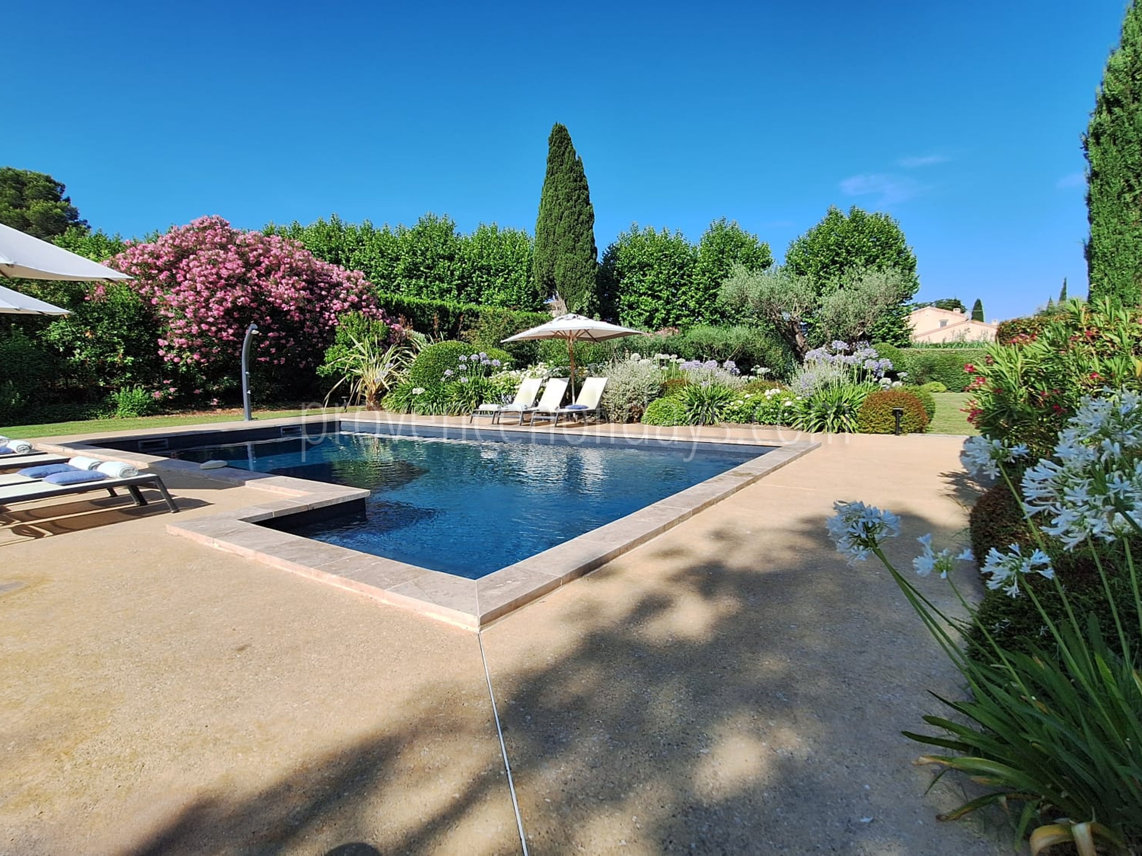 7 - Chez Alare: Villa: Pool