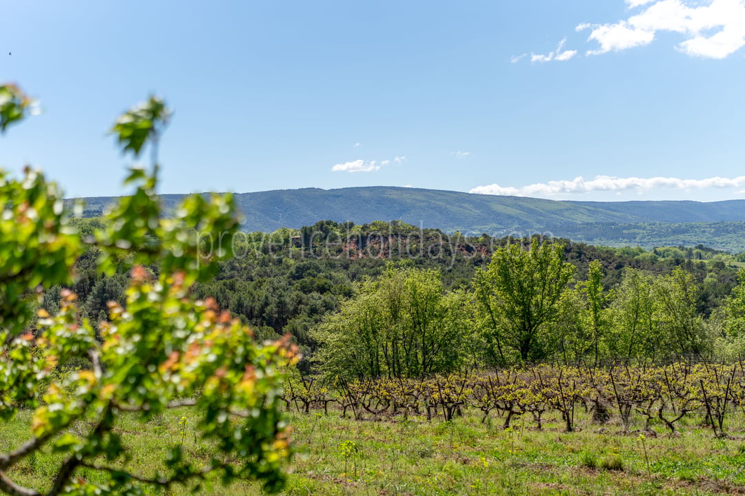 12 - Le Mas des Vignes: Villa: Exterior
