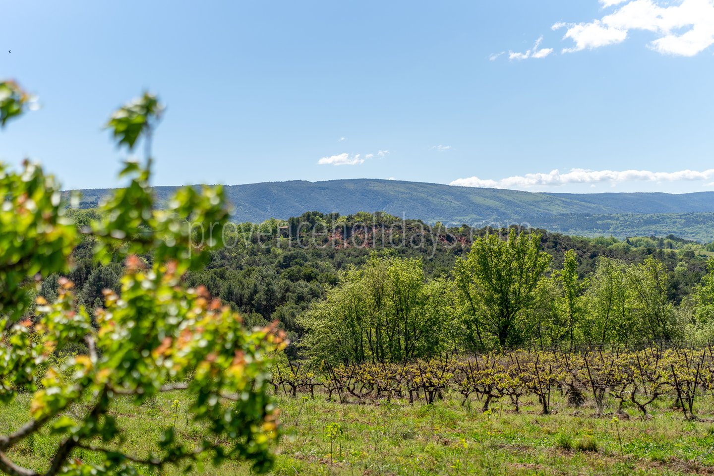 12 - Le Mas des Vignes: Villa: Exterior