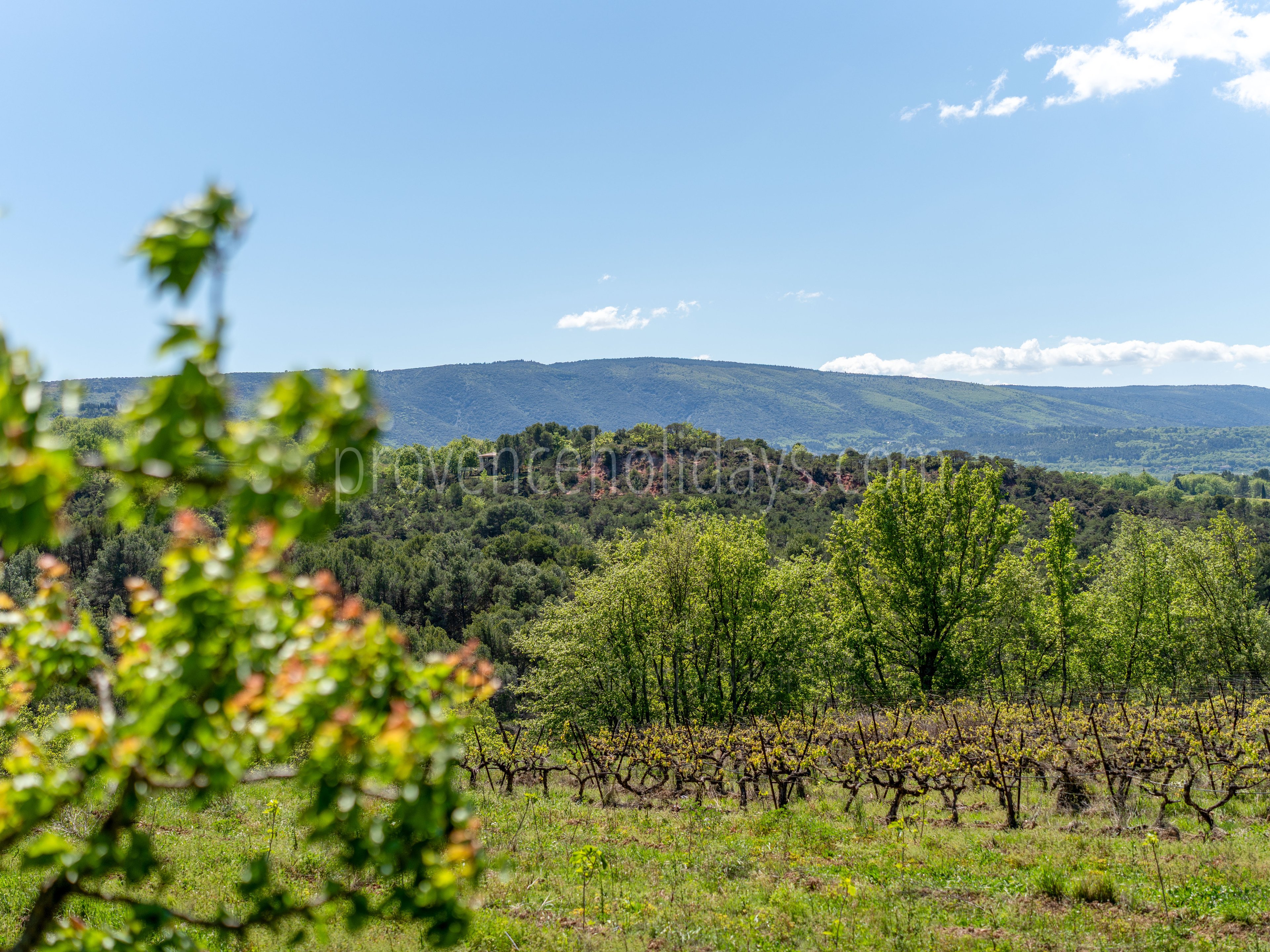12 - Le Mas des Vignes: Villa: Exterior