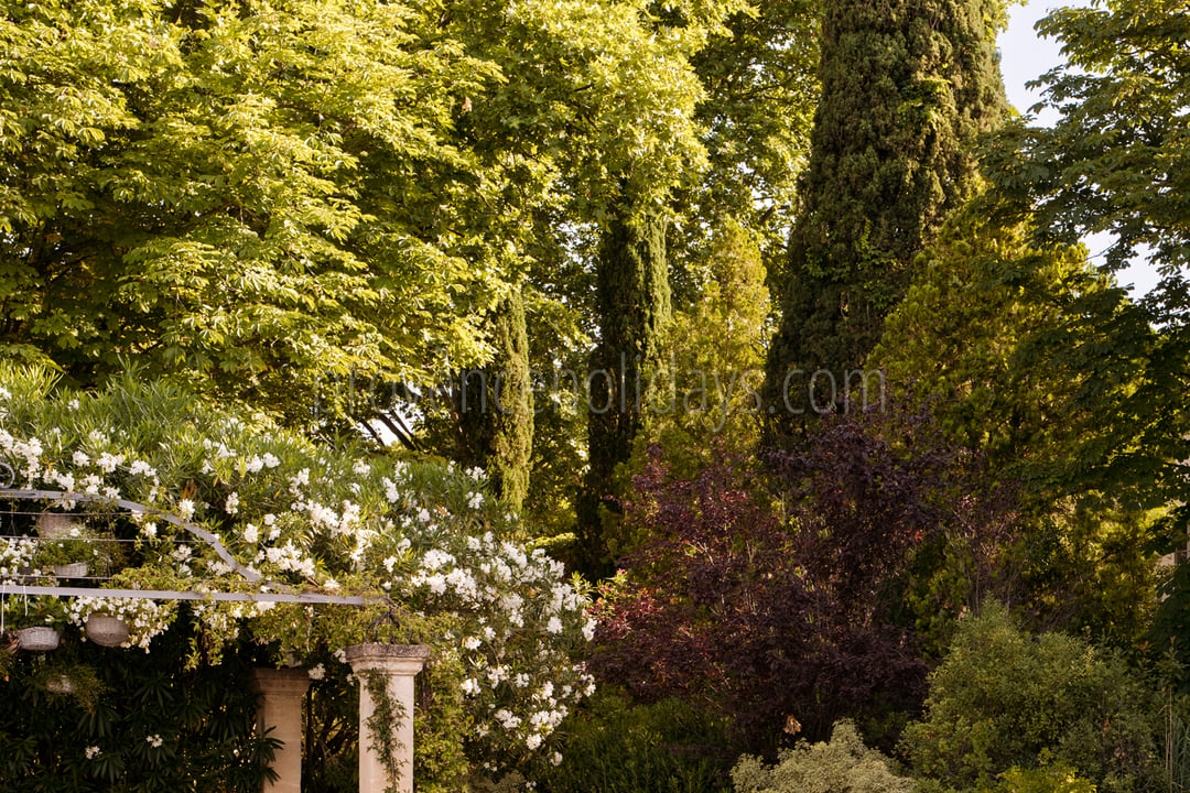 22 - Mas de Maussane: Villa: Pool