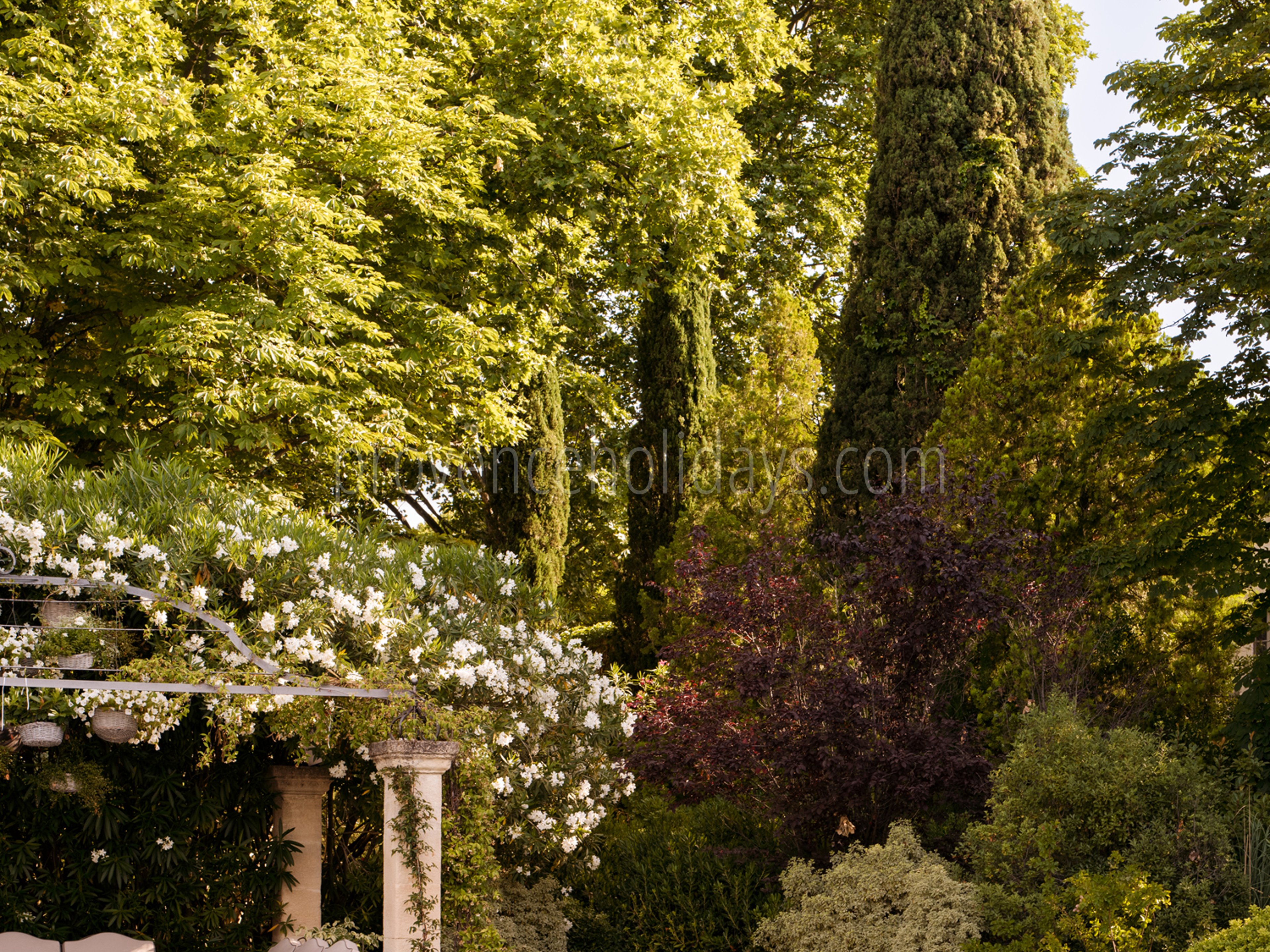 22 - Mas de Maussane: Villa: Pool