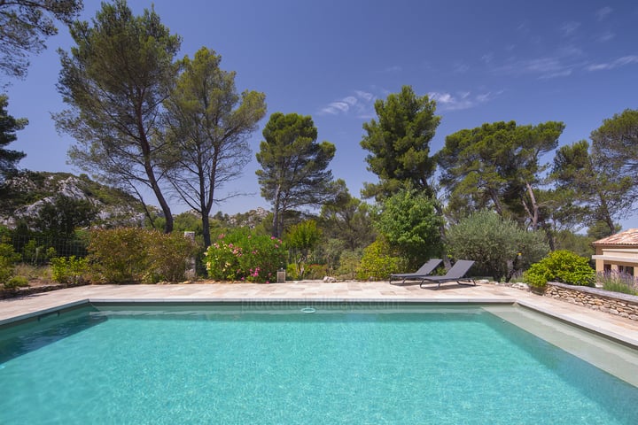 22 - Le Clos du Figuier: Villa: Pool