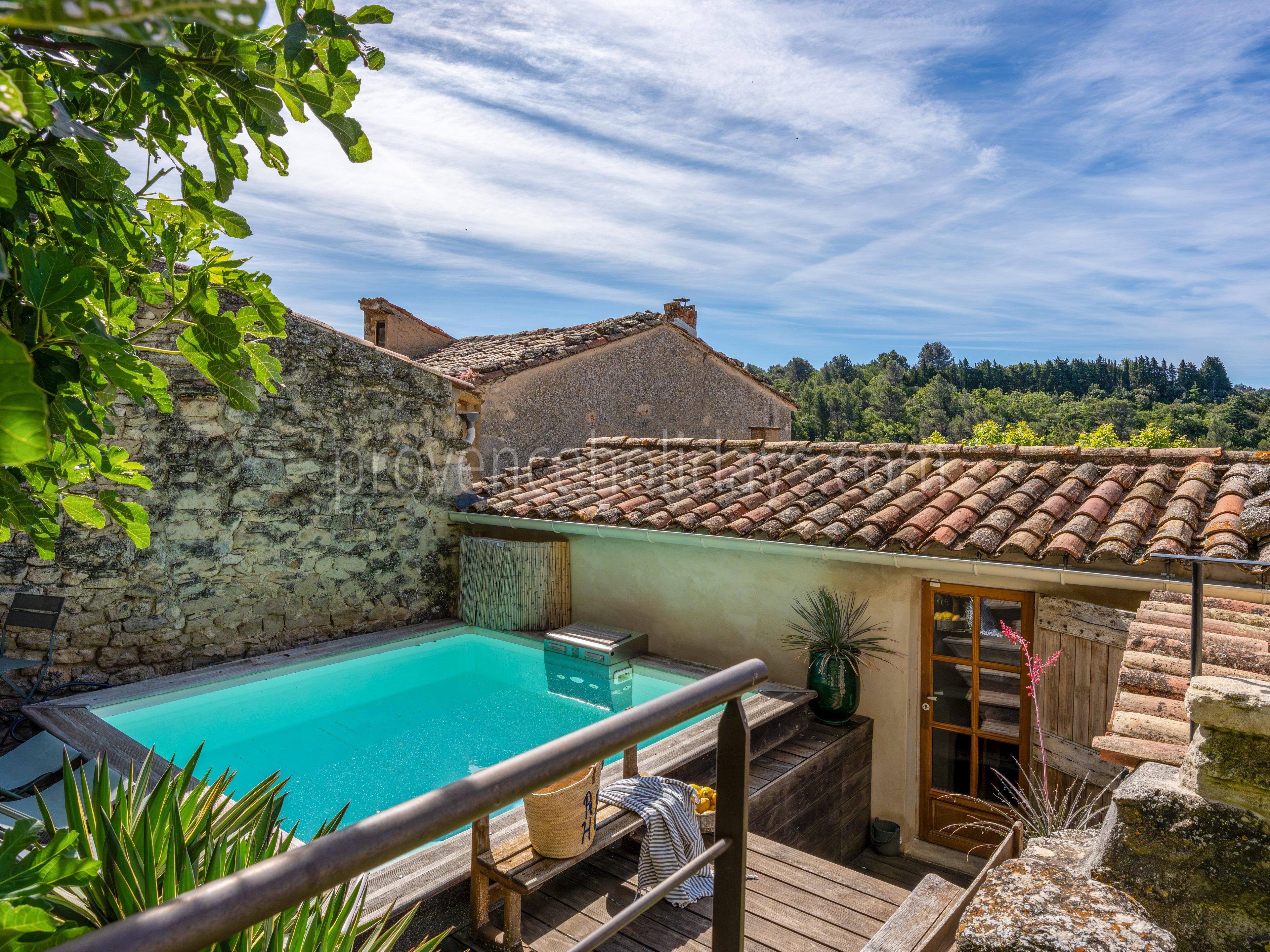 0 - Maison Rochevieille: Villa: Pool