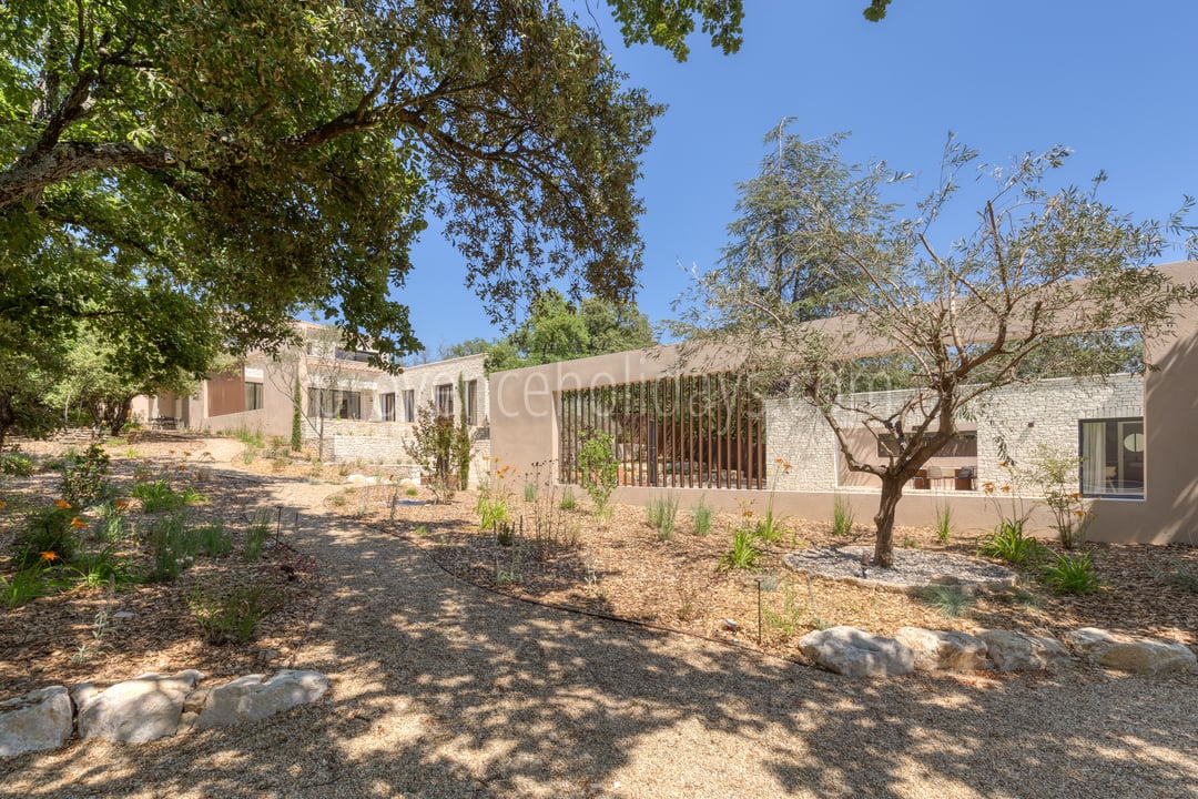 41 - Villa l\'Olivier Blanc: Villa: Exterior