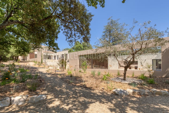41 - Villa l\'Olivier Blanc: Villa: Exterior
