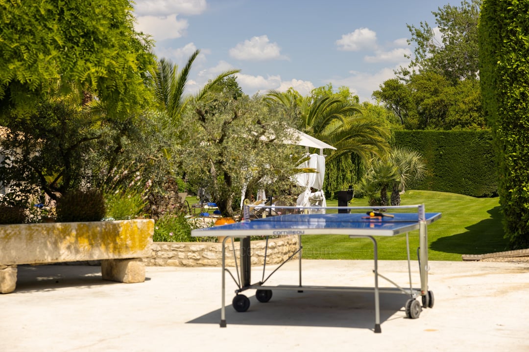Holiday rental with a heated pool in Saint-Rémy-de-Provence 6 - Mas de l\'Oiseau: Villa: Exterior